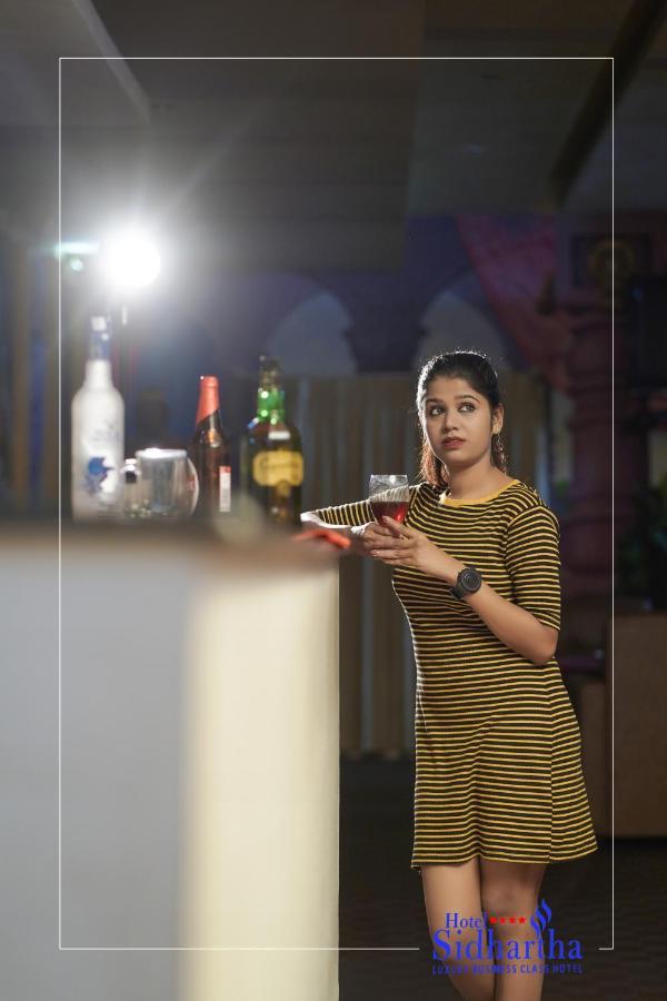 Hotel Sidhartha Chalakudy Kizhake Chalakudi Luaran gambar